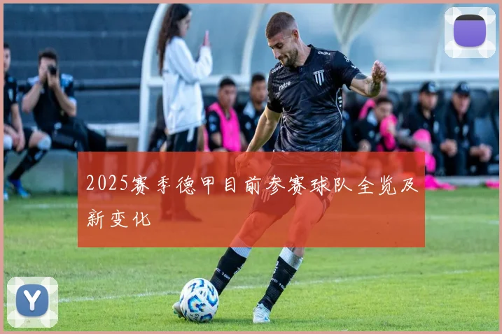 2025赛季德甲目前参赛球队全览及新变化