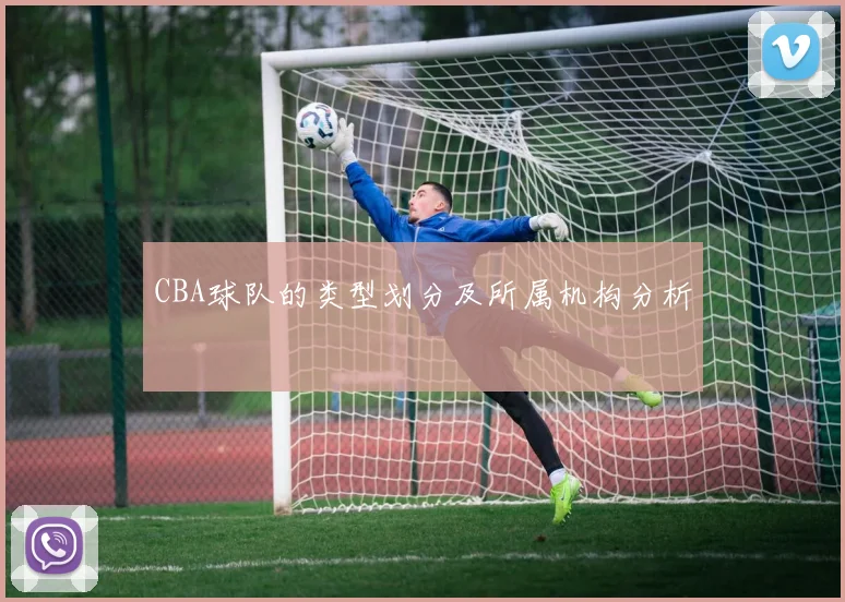 CBA球队的类型划分及所属机构分析