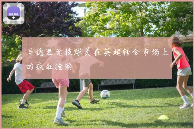 马德里竞技球员在英超转会市场上的疯狂抢购