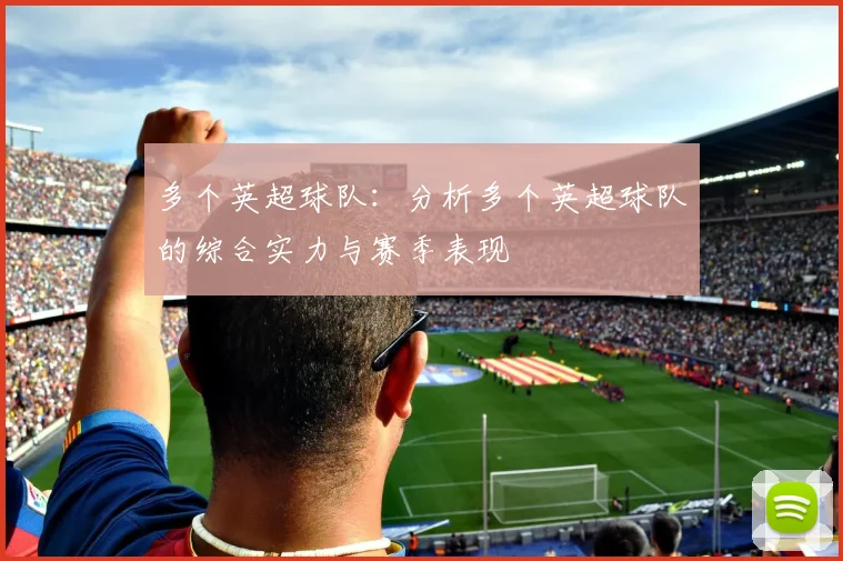 多个英超球队：分析多个英超球队的综合实力与赛季表现